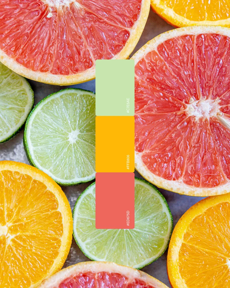Colour palette built from citrus photography
